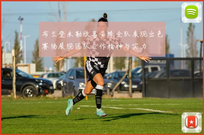 布兰登米勒欣喜黄蜂全队表现出色赛场展现团队合作精神与实力