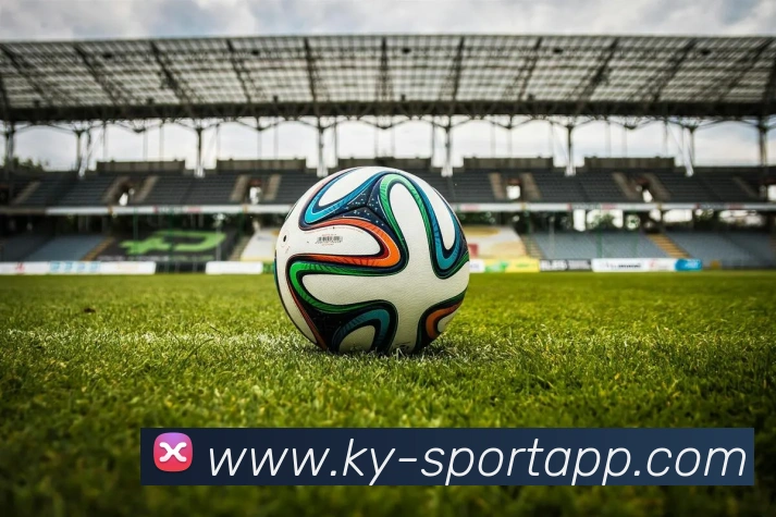 开云足球平台生态图